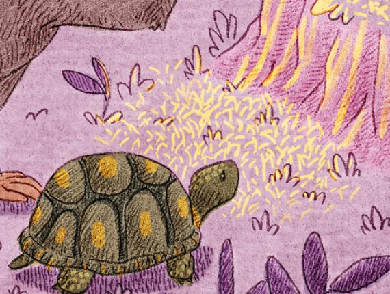 Màgia natura magia naturaleza magic nature