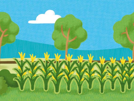 Andreu Toys granja farm animals animales