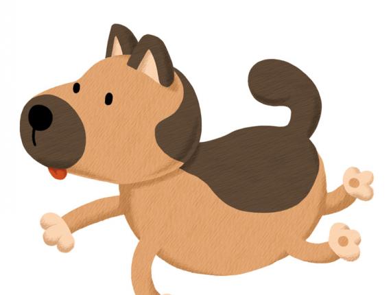 Andreu Toys granja farm animals animales