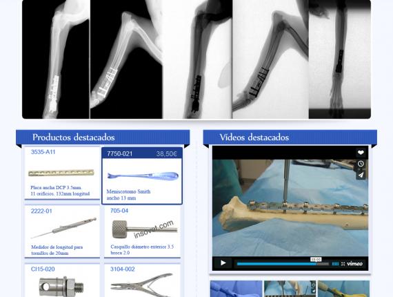 disseny diseño design web Insorvet