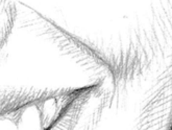 Louise Bourgoin portrait retrat retrato