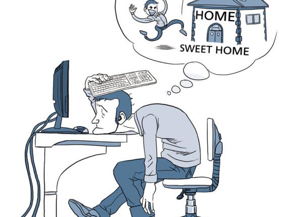 programador programmer