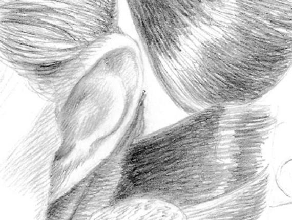 Natalie Portman Star Wars portrait retrat retrato