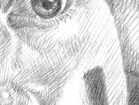 Sigourney Weaver Alien portrait retrat retrato