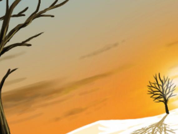 Bon Nadal Feliz Navidad Merry Christmas