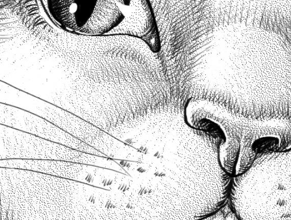 pàgina página page manga un lloc estrany noi chico boy punk noia gata chica gato cat girl