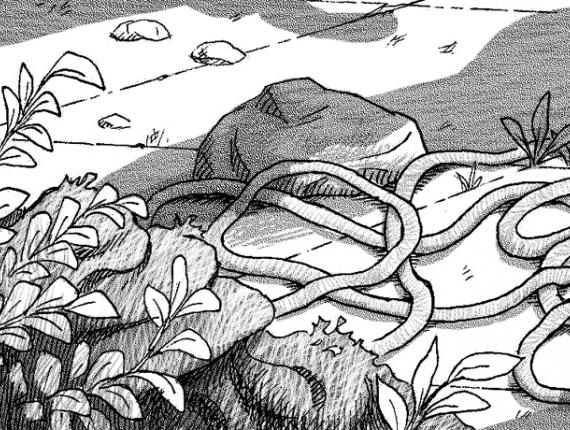 noia gat chica gato cat girl punk noi chico boy parella pareja  couple SKA