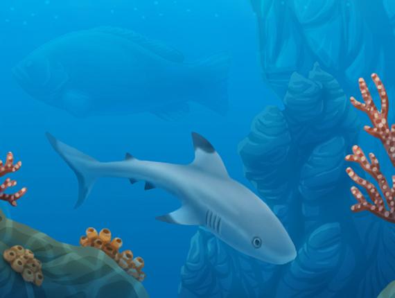 paisatge paisaje landscape fons marí fondo marino seabed peixos peces fish tauró tiburón shark noia chica girl mar sea cel cielo sky núvols nubes clouds