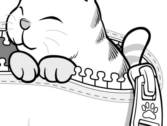 DeGats gat gato cat bossa bolsa bag