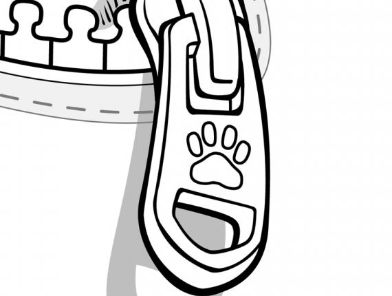 DeGats gat gato cat bossa bolsa bag