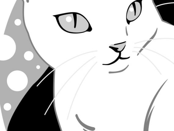 DeGats gat gato cat samarreta camiseta shirt bossa bolsa bag