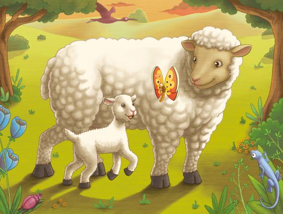 trencaclosques rompecabezas puzzle ovella oveja sheep