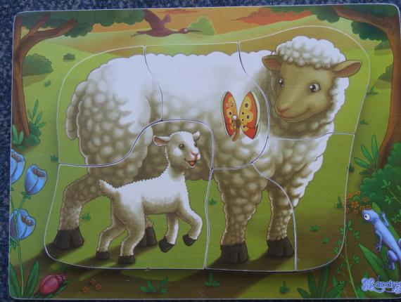 trencaclosques rompecabezas puzzle ovella oveja sheep
