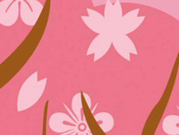 Rainbow Dash  My Little Pony Blue Dragon Noi