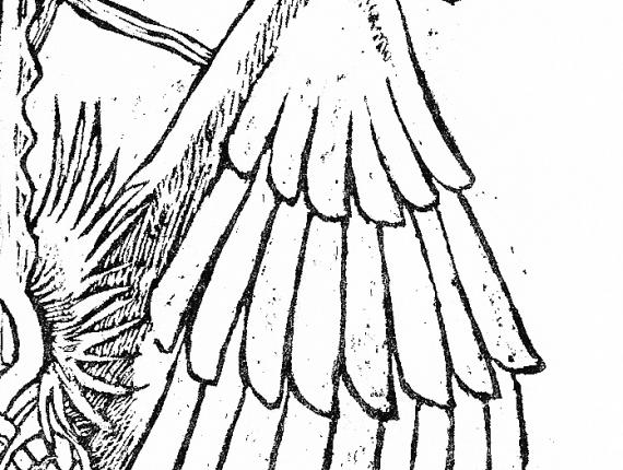 calavera skull noia chica girl