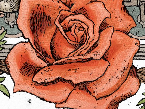 calavera skull noia chica girl