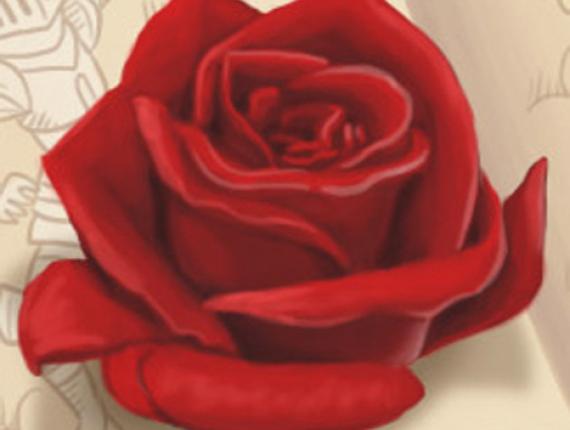 Sant Jordi drac dragon dragoon cavaller caballero knight rosa rose