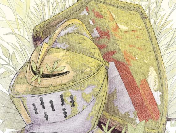 Sant Jordi rosa rose escut escudo shield espasa espada sword casc casco helmet