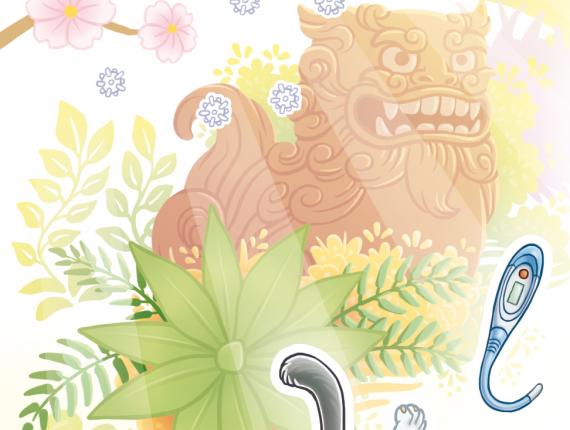 Amics amigos friends gat gato cat boda wedding postal targeta tarjeta card Japó Japón Japan Okinawa