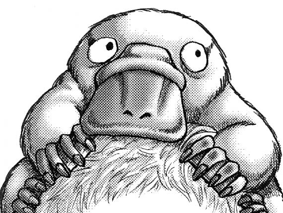 un lloc estrany noia chica girl ornitorrinc ornitorinc ornitorrinco Ornithorhynchus Platypus