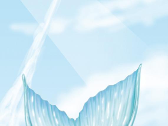 noia chica girl sirena mermaid arbre arbol tree estrella star ocell pica soques pajaro carpintero Woodpecker