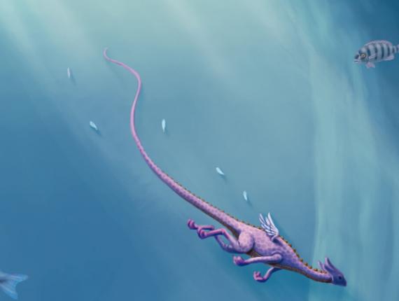 Puff, el drac màgic Puff, the Magic Dragon Puff el dragón mágico