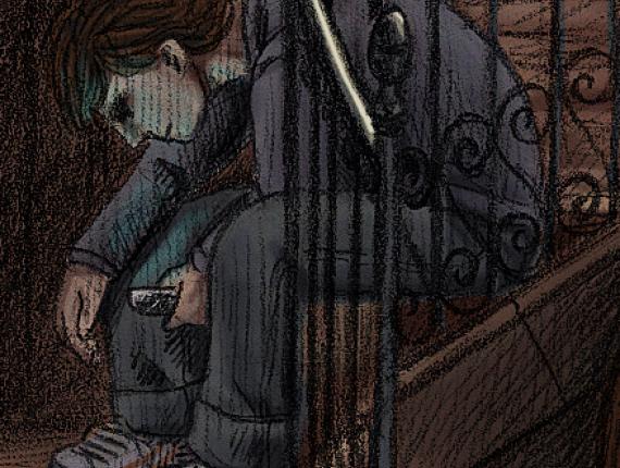 camaleó  camaleón chameleon