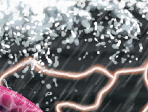 Puff, el drac màgic Puff, the Magic Dragon Puff el dragón mágico