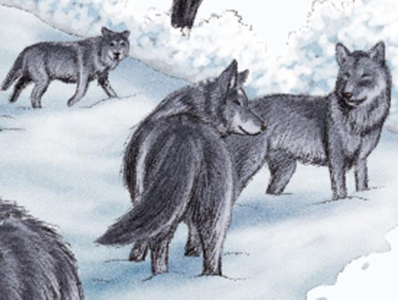 Llops lobos wolves Stalingrad guerra mundial WWI escenari escenarios scenario