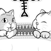 DeGats gat gato cat bossa bolsa bag