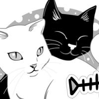 DeGats gat gato cat samarreta camiseta shirt