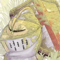 Sant Jordi rosa rose escut escudo shield espasa espada sword casc casco helmet